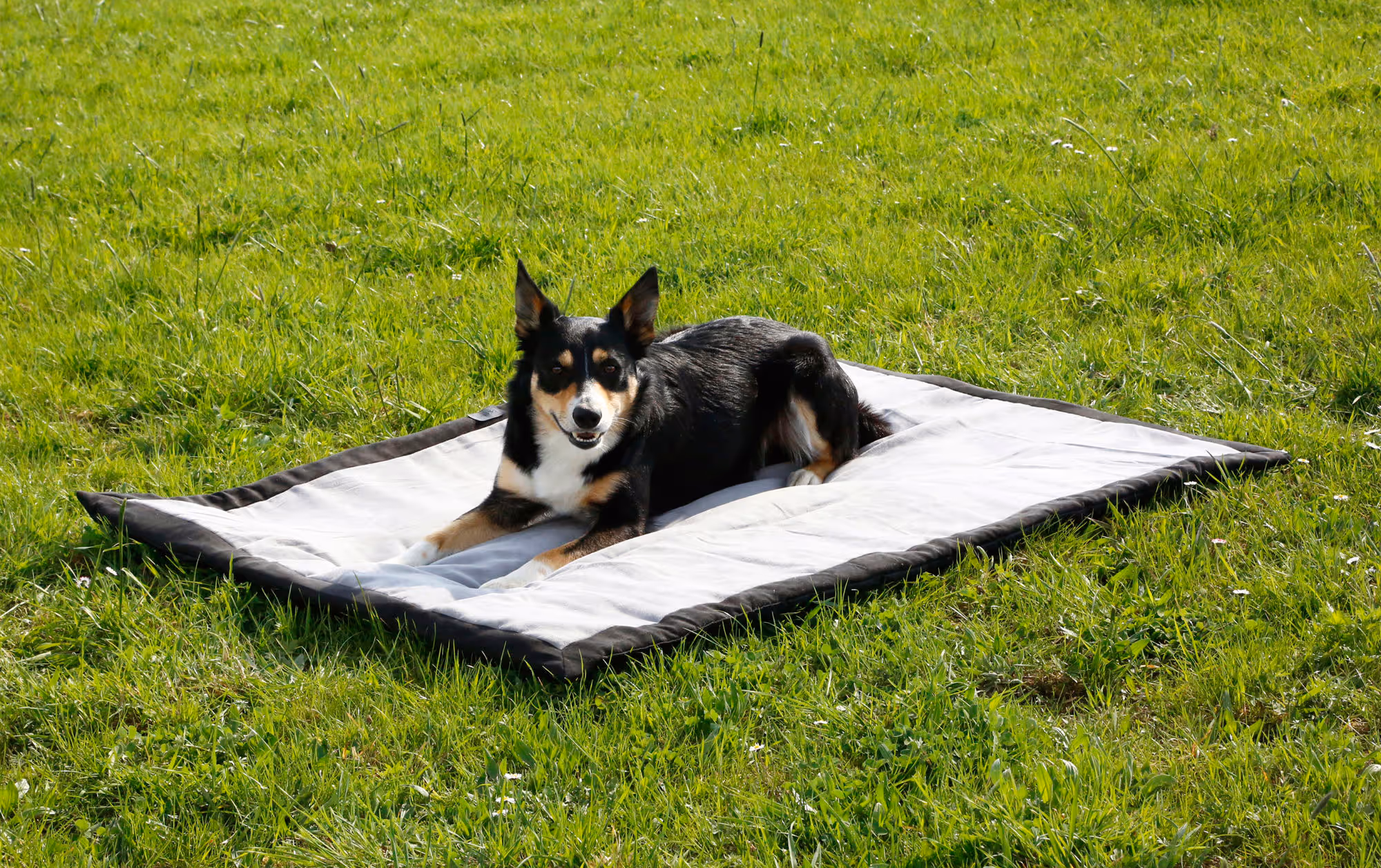 Couverture pour chien Trip gris/noir, 140X100X4cm