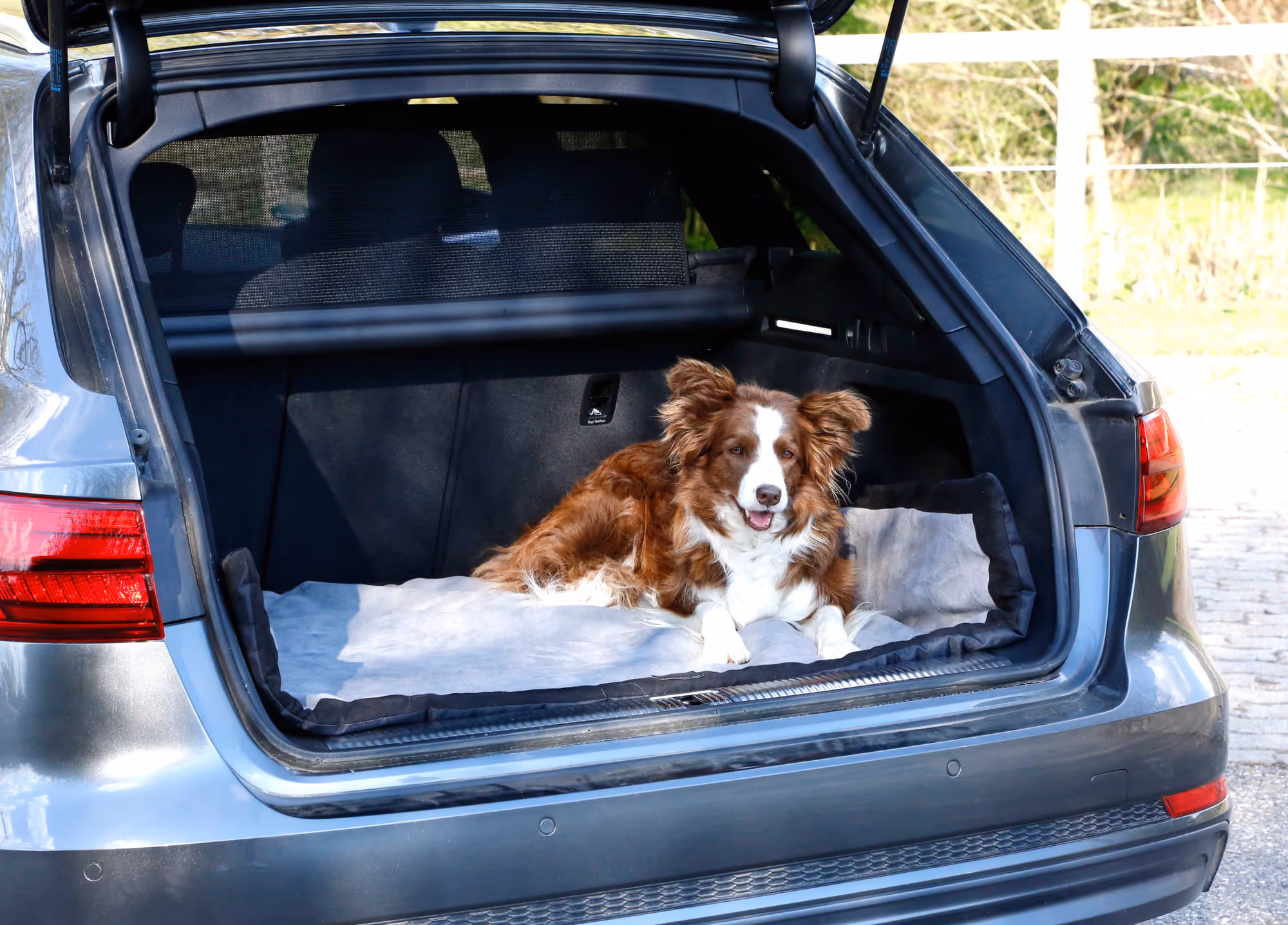 Couverture pour chien Trip gris/noir, 140X100X4cm