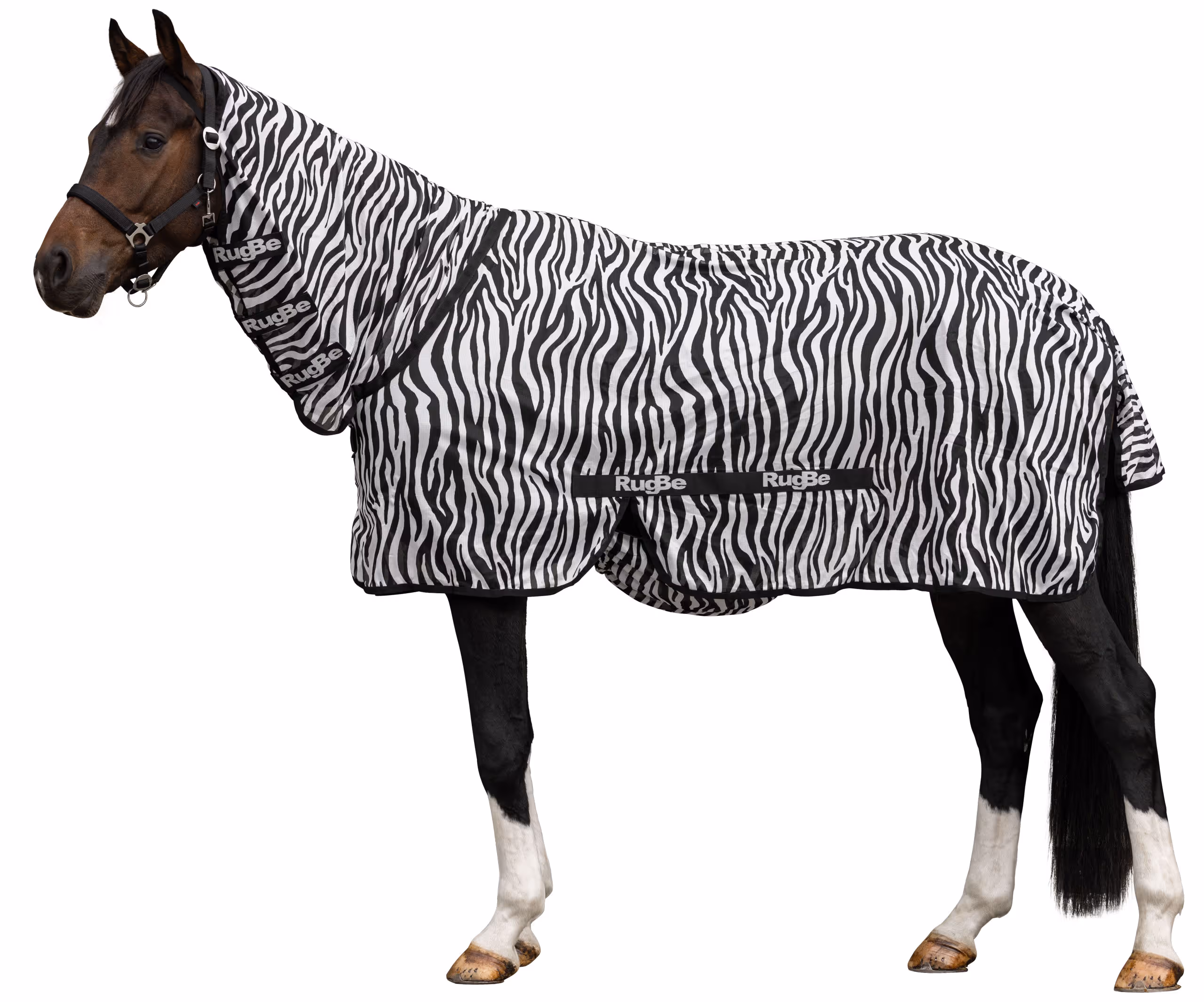Couverture RugBe Zebra 145 cm