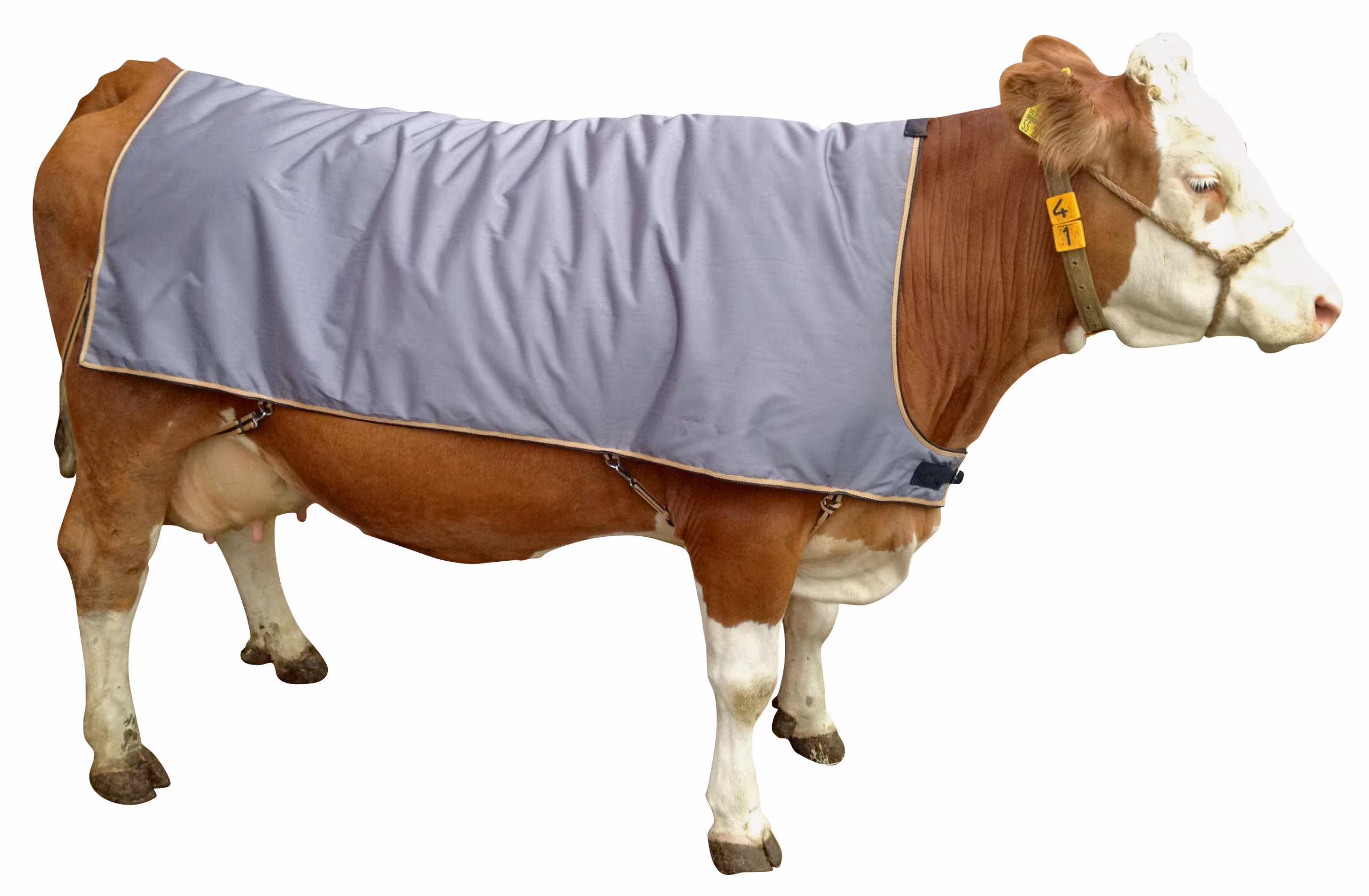 Couverture vache gris, 175cm x 140cm