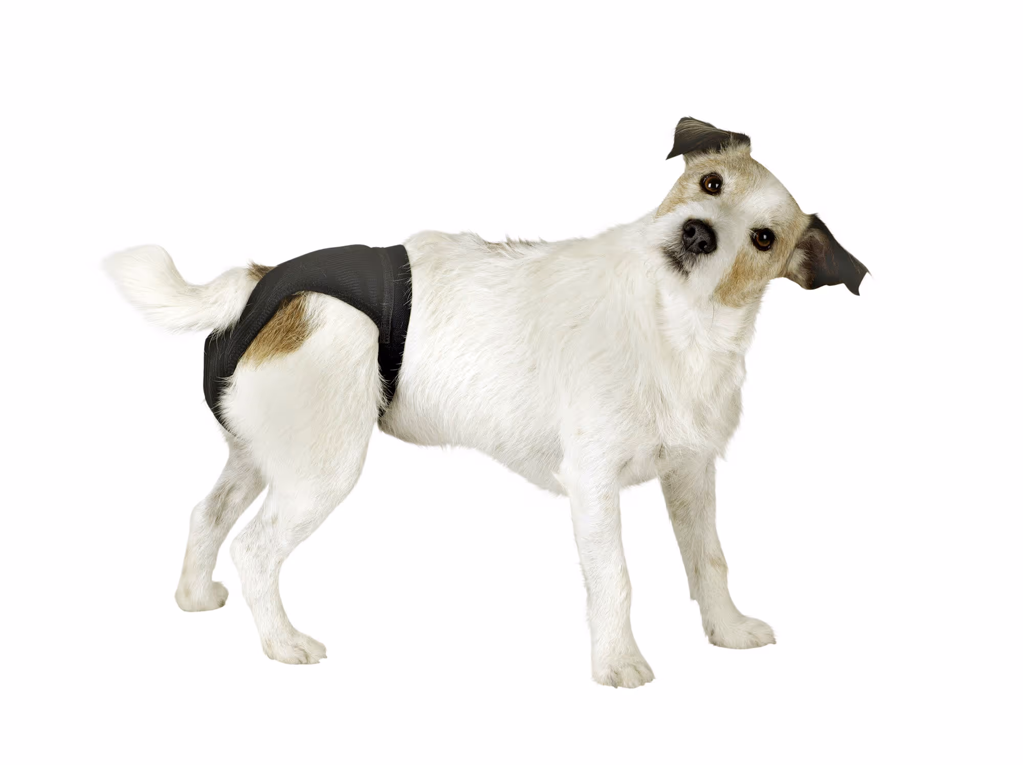 Culotte de protection noir, 46-52cm