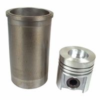 Cylindrée complète 98.42mm (x1) Case IH 3144446R91 adaptable