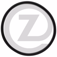 DANA Spicer Rondelle