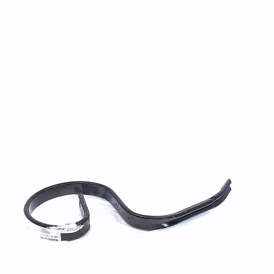 Dent vibroculteur Rau 25x8mm RG00012158 Origine