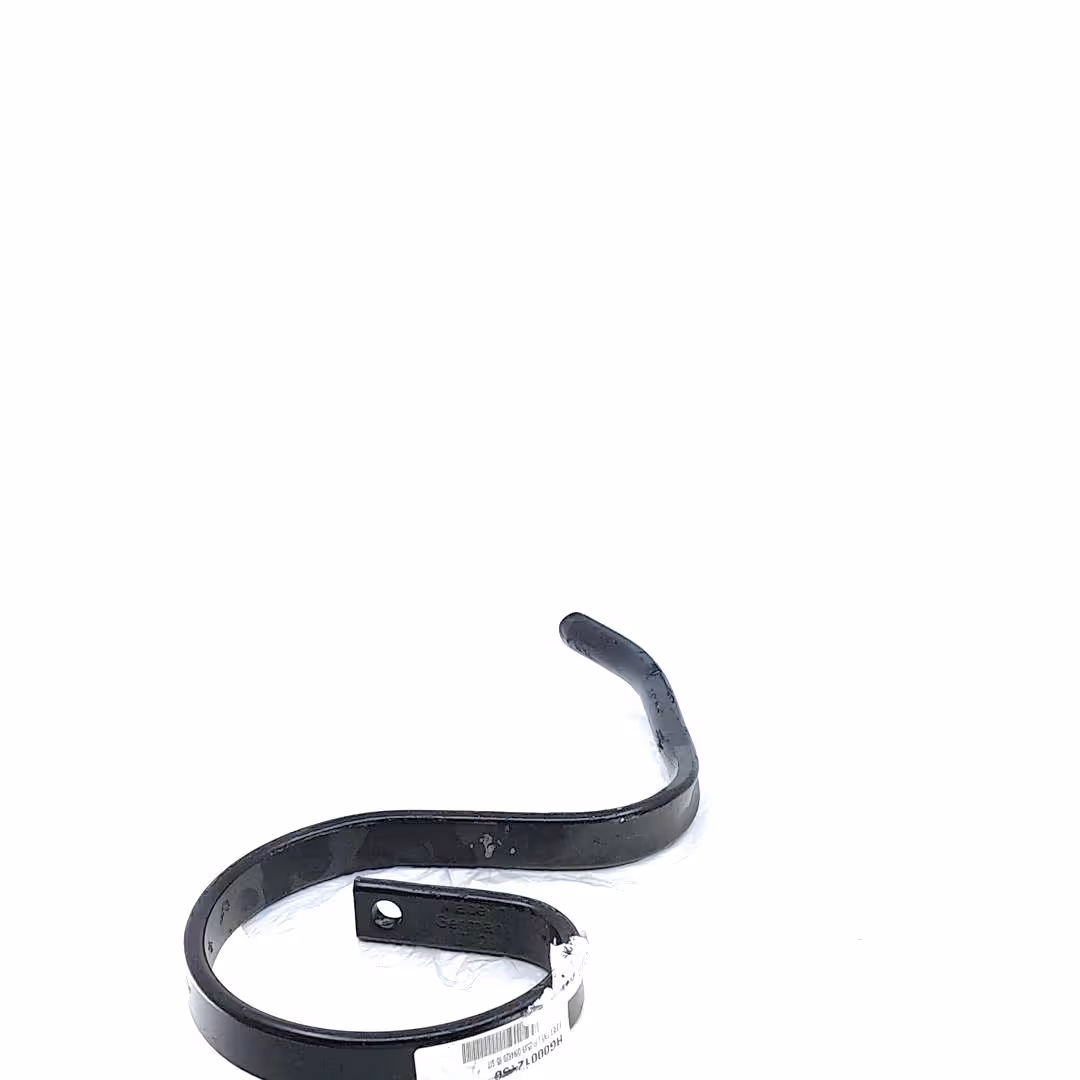 Dent vibroculteur Rau 25x8mm RG00012158 Origine