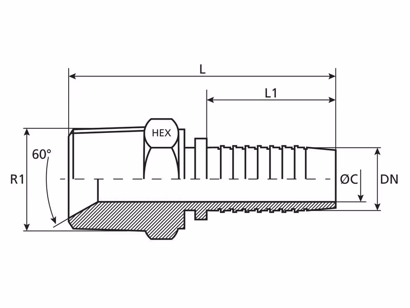 Dicsa BSPT Raccord à Sertir 1/2'' x 1/2'' Filetage mâle Droite