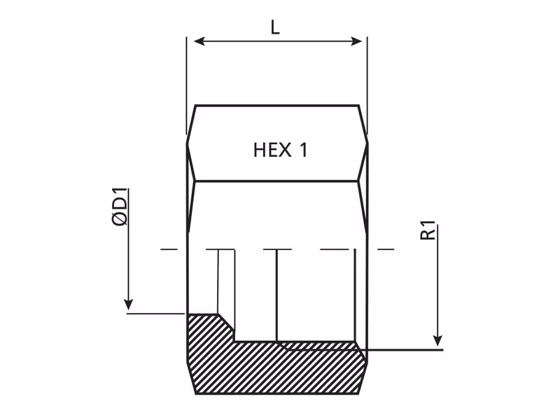 Dicsa Écrou métrique M18 x 1.5 (12L)
