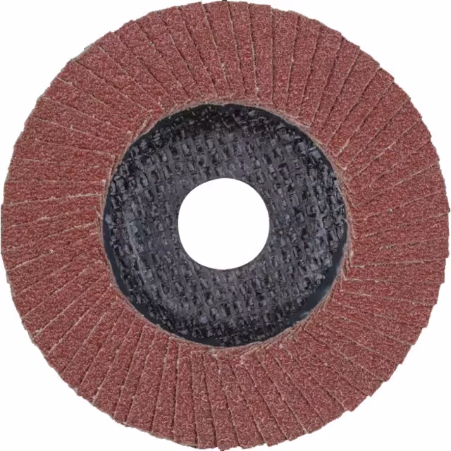 Disque a lamelles 115 mm grain 40 polifan pferd