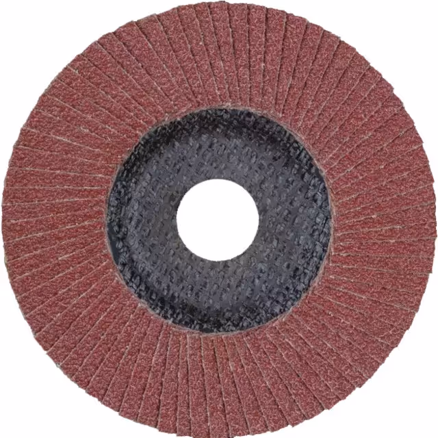 Disque a lamelles 125 mm grain 80 polifan pferd