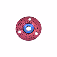 Disque de parage professionnel Ø115 mm (200 vaches)
