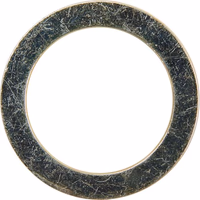 Disque de support 20x28x2 DL016 Amazone