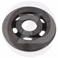 DISQUE FREIN - 061790 - MERLO