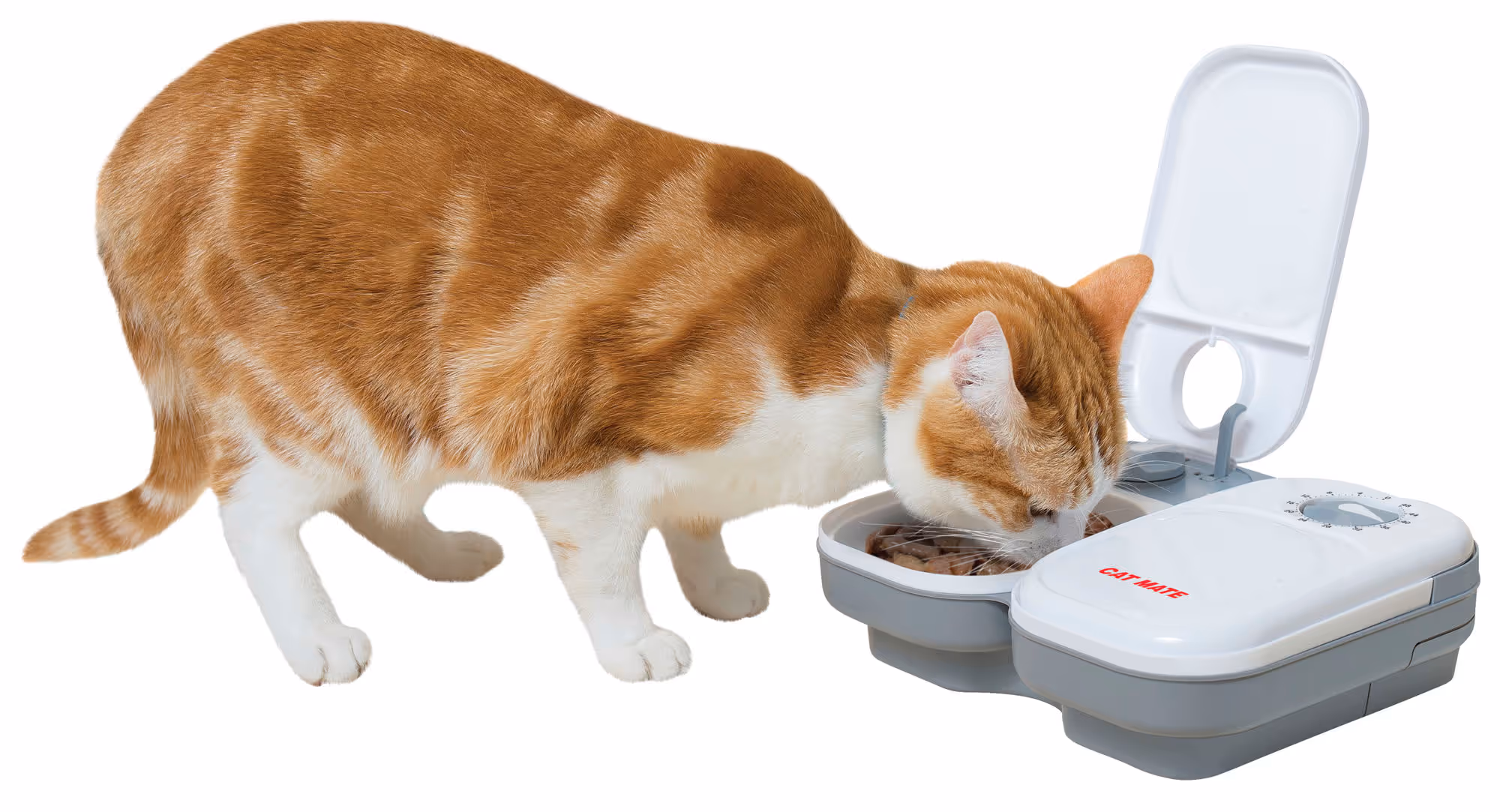 Distributeur d'aliment C200 Cat Mate, 2x400g