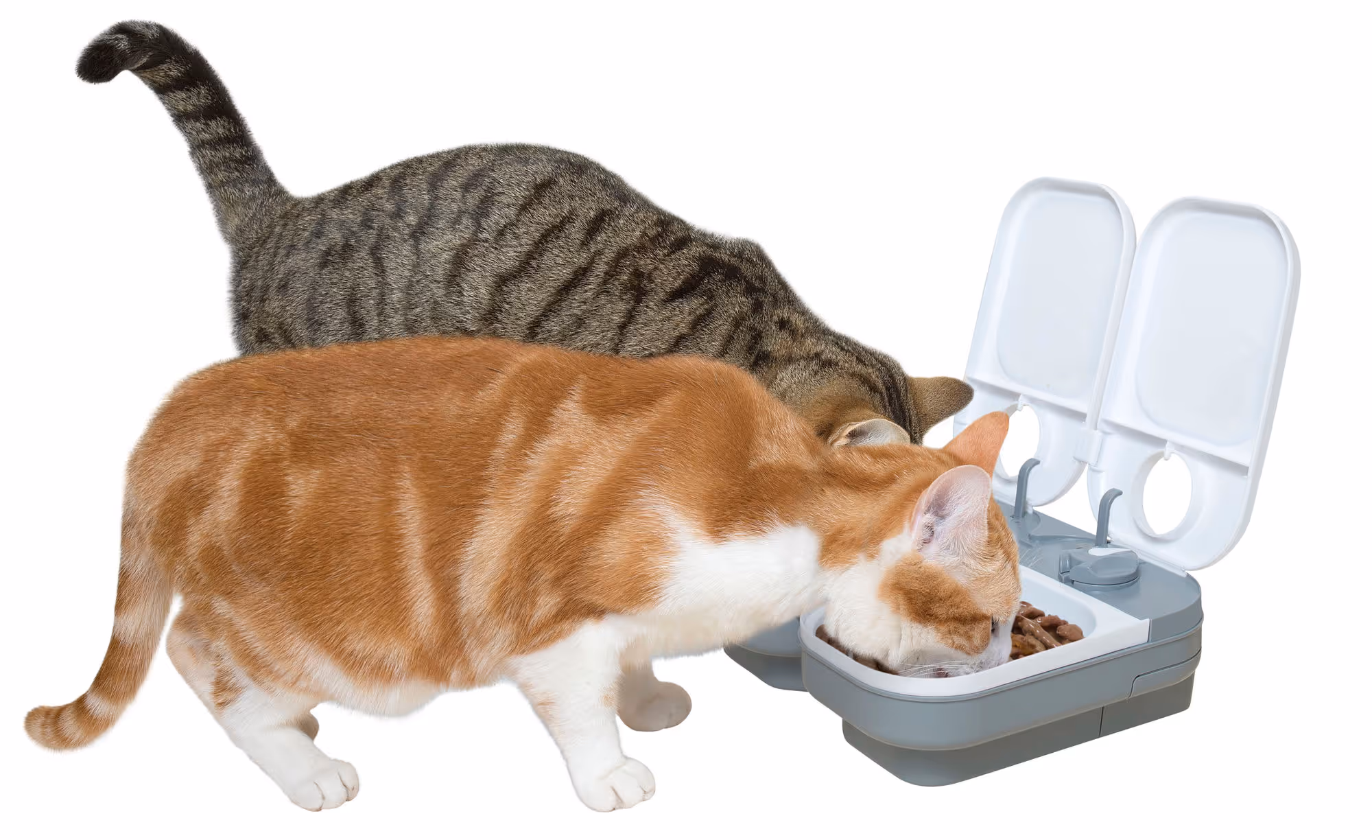 Distributeur d'aliment C200 Cat Mate, 2x400g