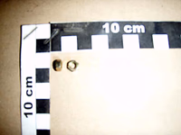 ECROU 04 4032 8 A2G - AMAZONE - REF DE021