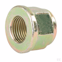 Ecrou à collet verz.