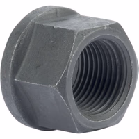 Écrou de roue M18x1.5 Fendt X435510541000