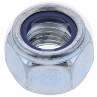 ECROU FREIN NYLON M20 ZN - 185054 - MANI