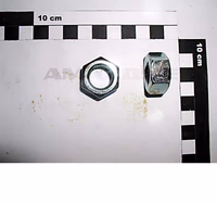 Ecrou Ø16 | Amazone