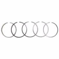 Eicher | Kit de segments 745760M91 adaptable