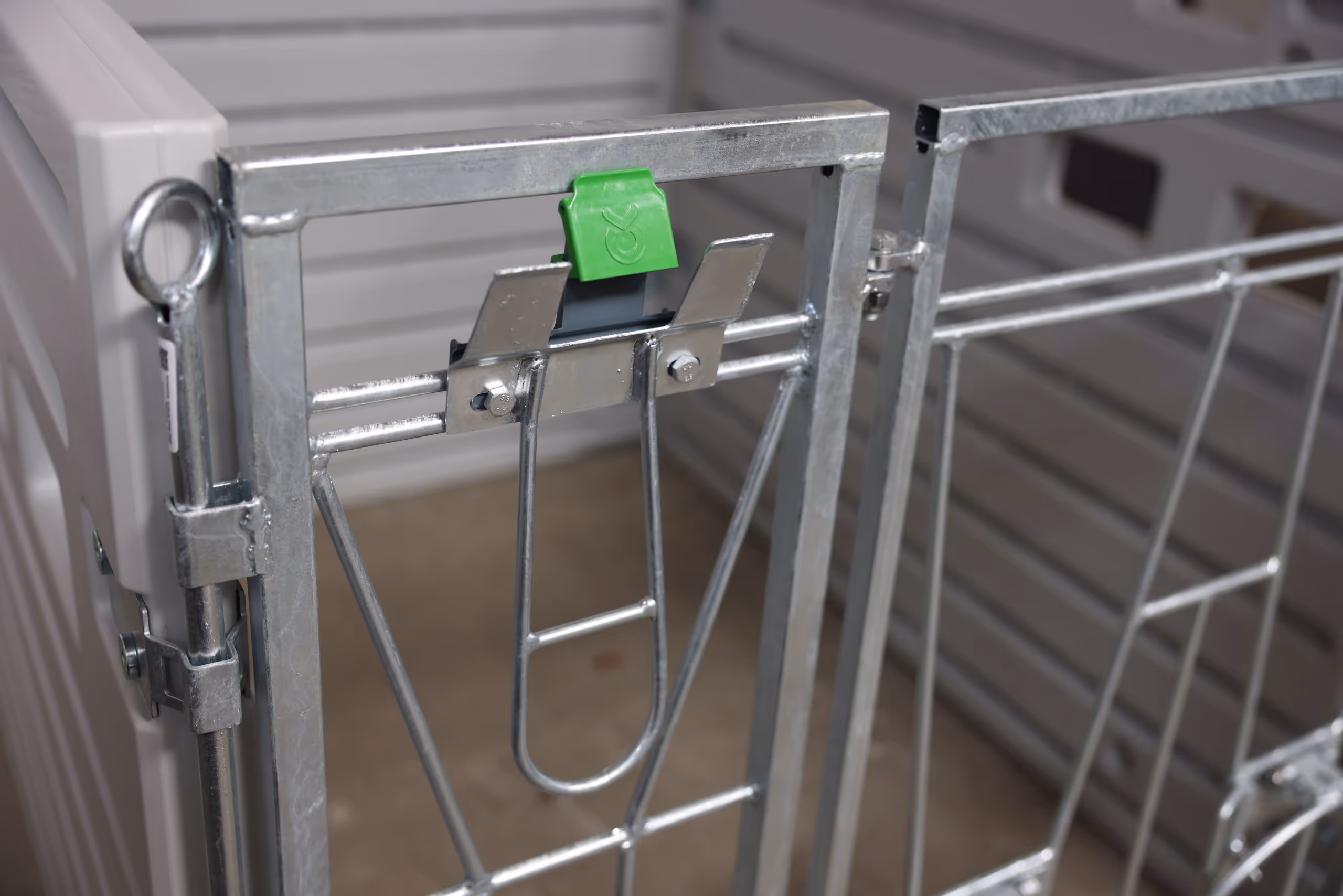 élément frontal de la porte Box à veaux modulaire