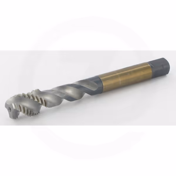 Embout 4mm torx 6 long 28mm