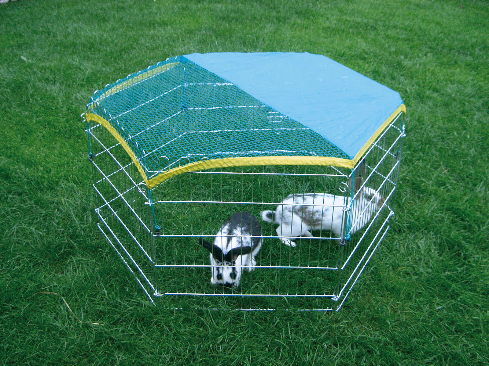 Enclos extérieur hexagonal Ø110cm, 56,5x56,5cm/pcs x6