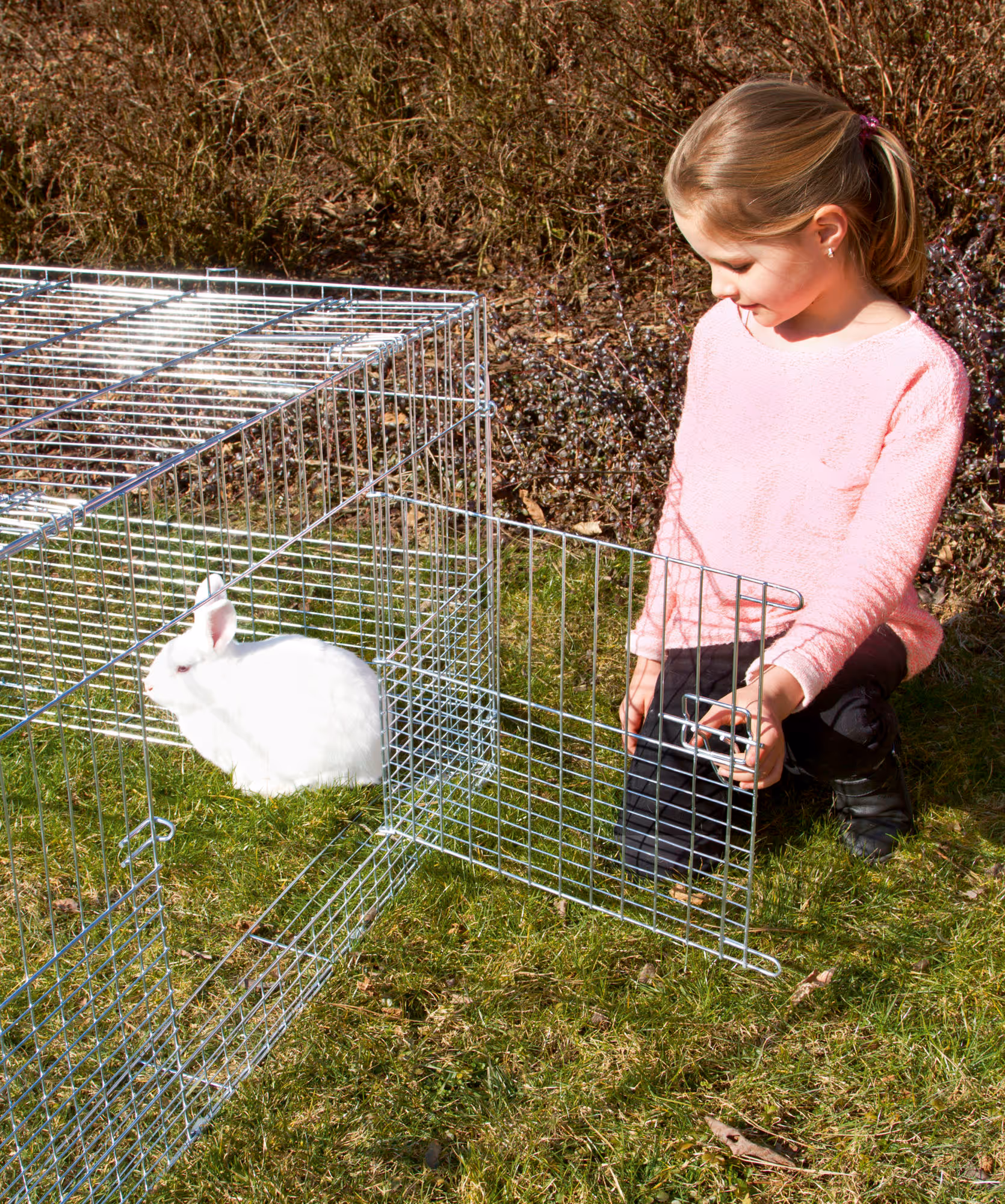 Enclos extérieur pour rongeur jeunes animaux, 144X112X60cm