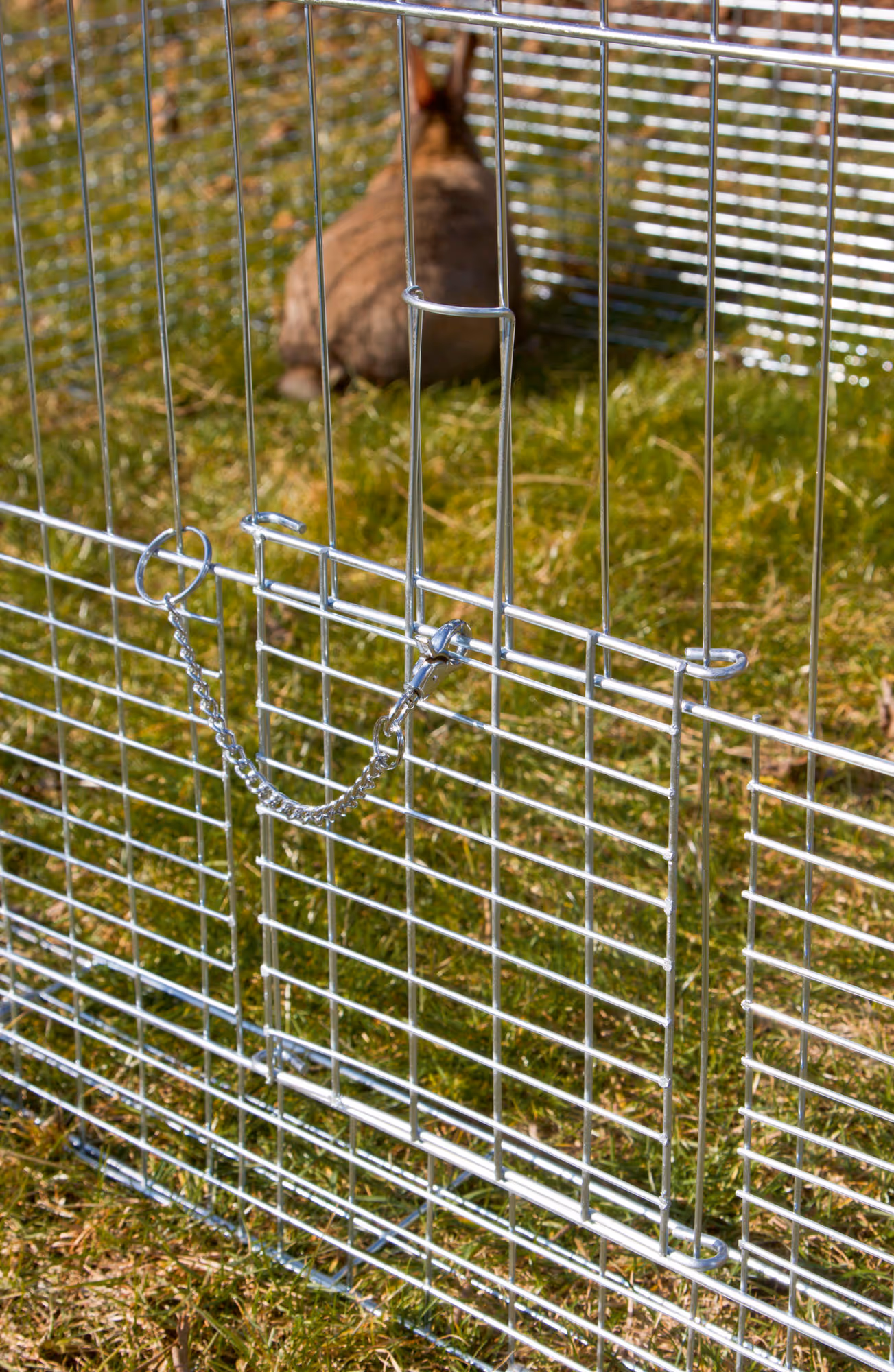 Enclos extérieur pour rongeur jeunes animaux, 144X112X60cm