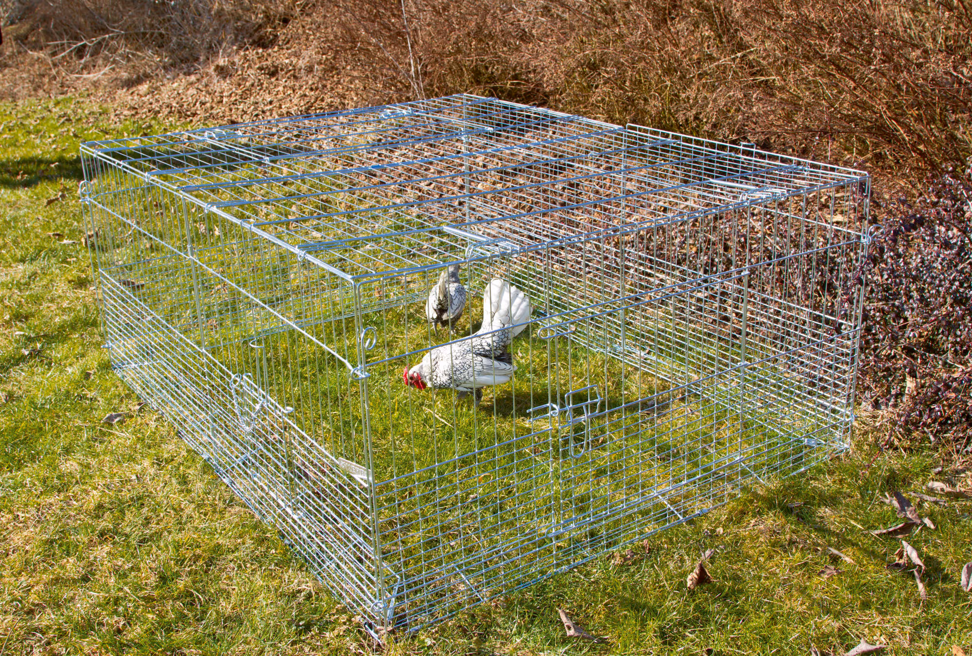 Enclos extérieur pour rongeur jeunes animaux, 144X112X60cm