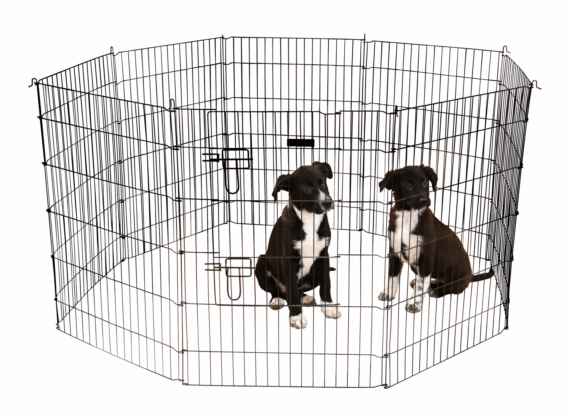 Enclos pour chiots et petits a nimaux