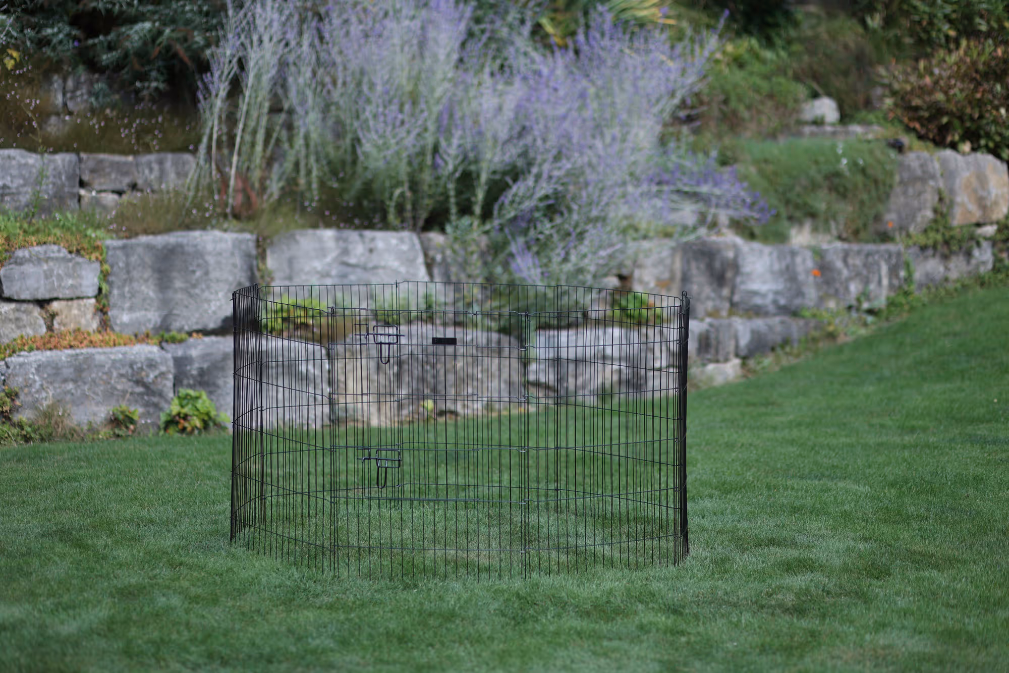 Enclos pour chiots et petits a nimaux
