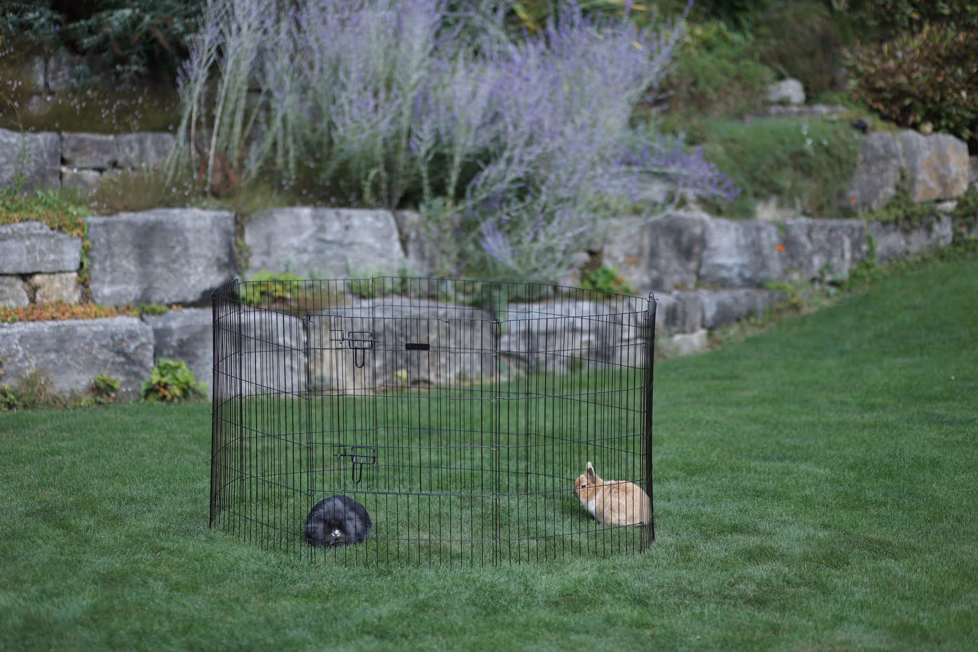 Enclos pour chiots et petits a nimaux