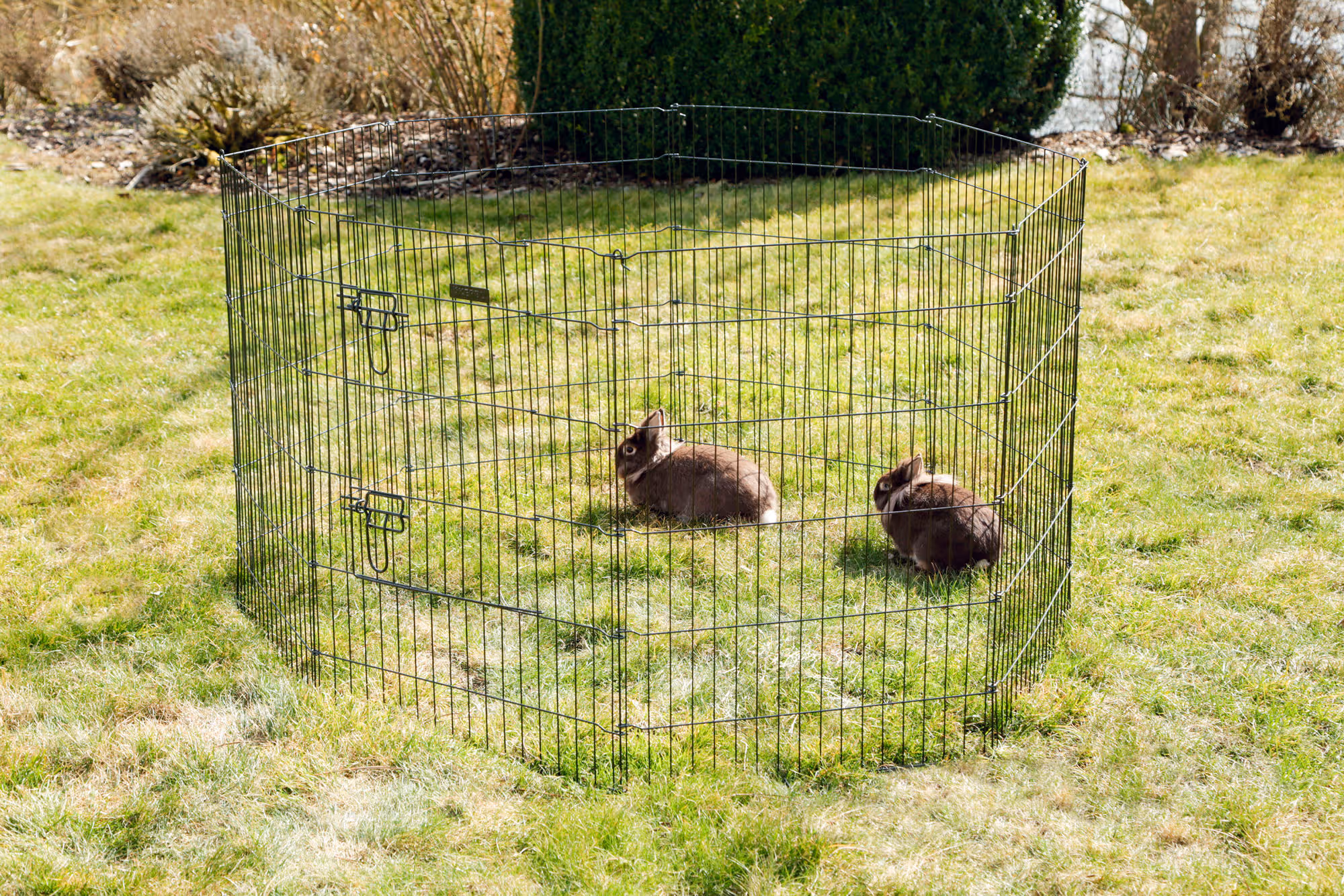 Enclos pour chiots et petits a nimaux
