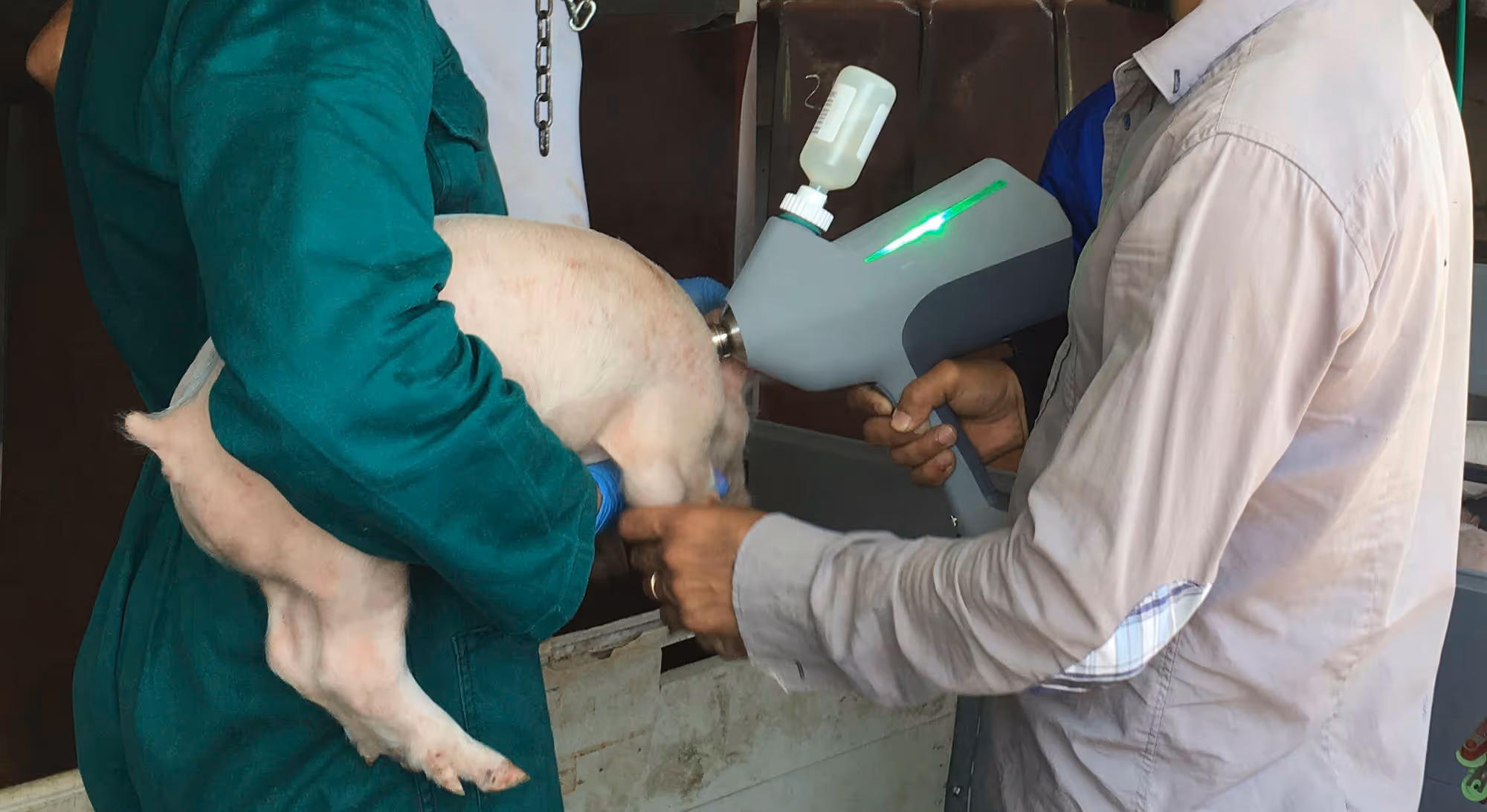 EPIG pour injection sans aiguille