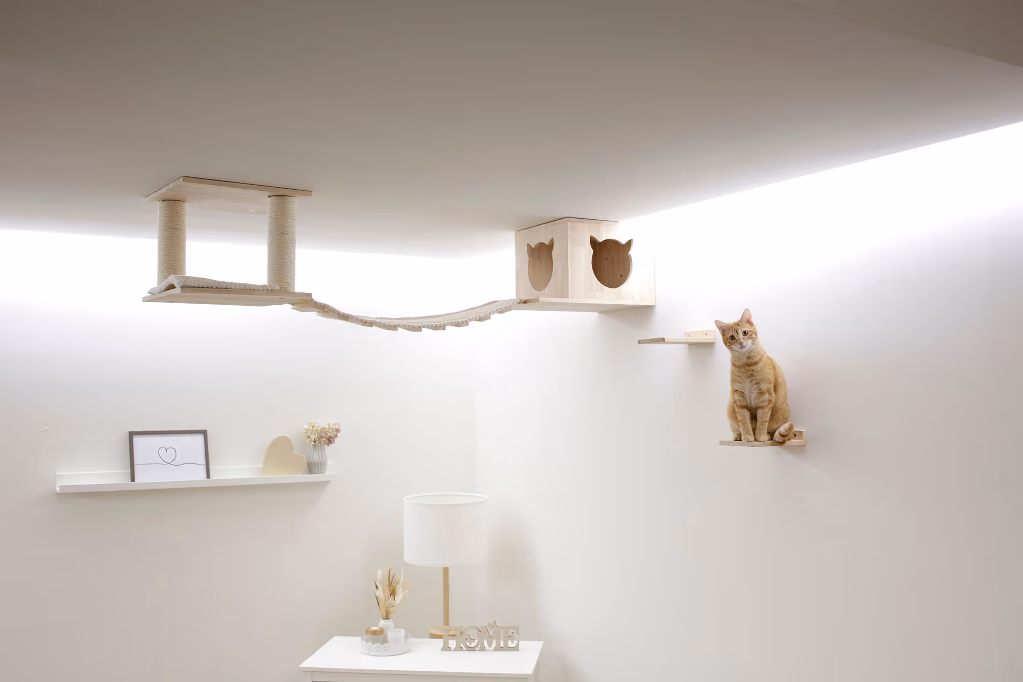 Espace de jeu pour chat Top nature/blanc, max.5kg