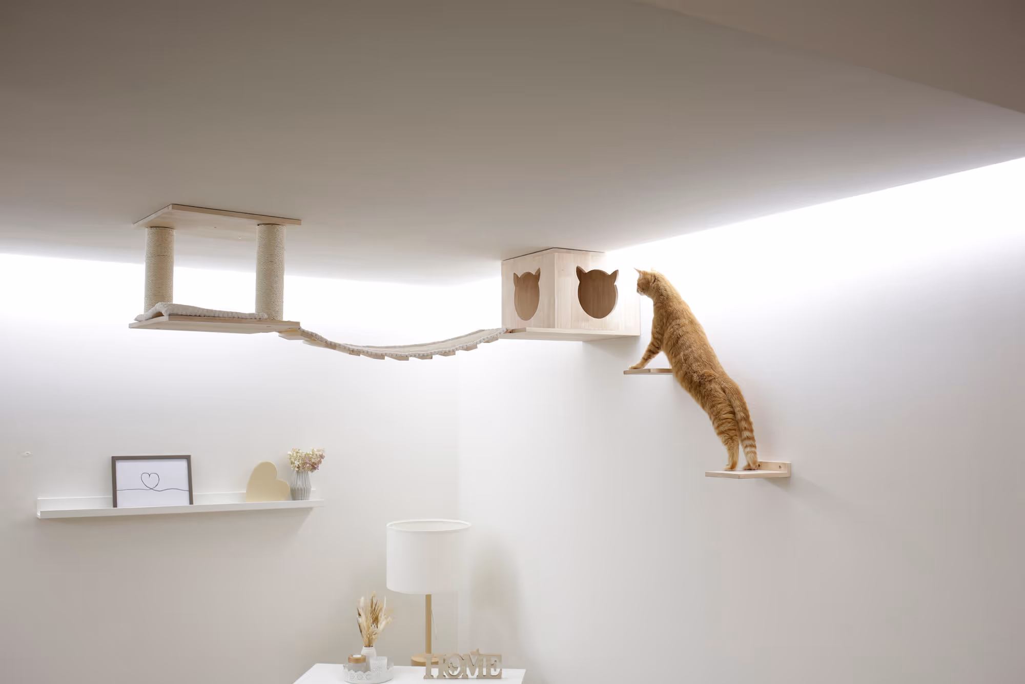 Espace de jeu pour chat Top nature/blanc, max.5kg