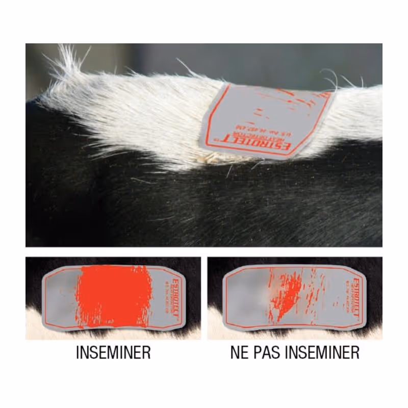 ESTROTECT Pack de 10 détecteurs de chaleurs rouge 