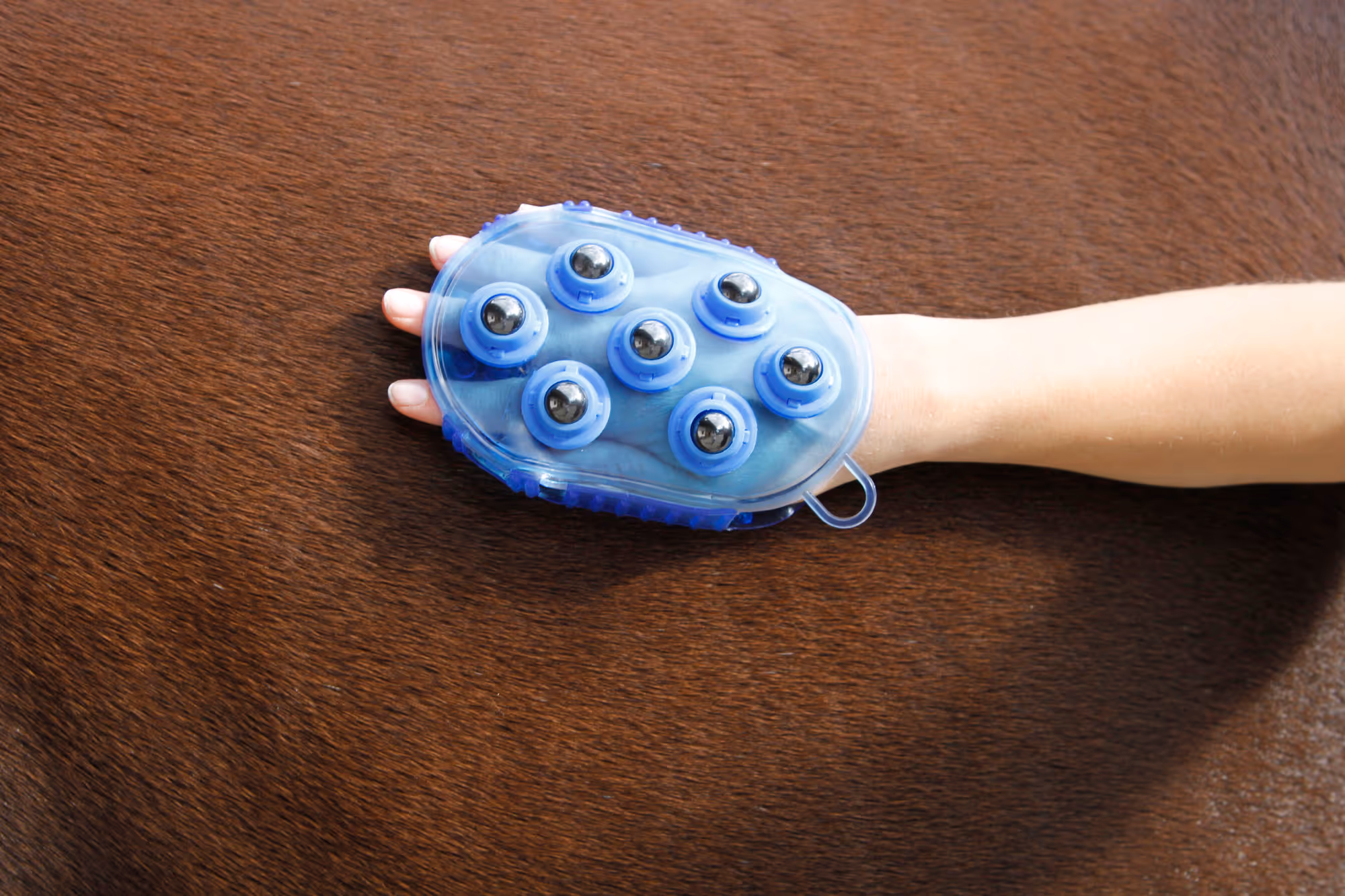 Etrille de massage bleu royal