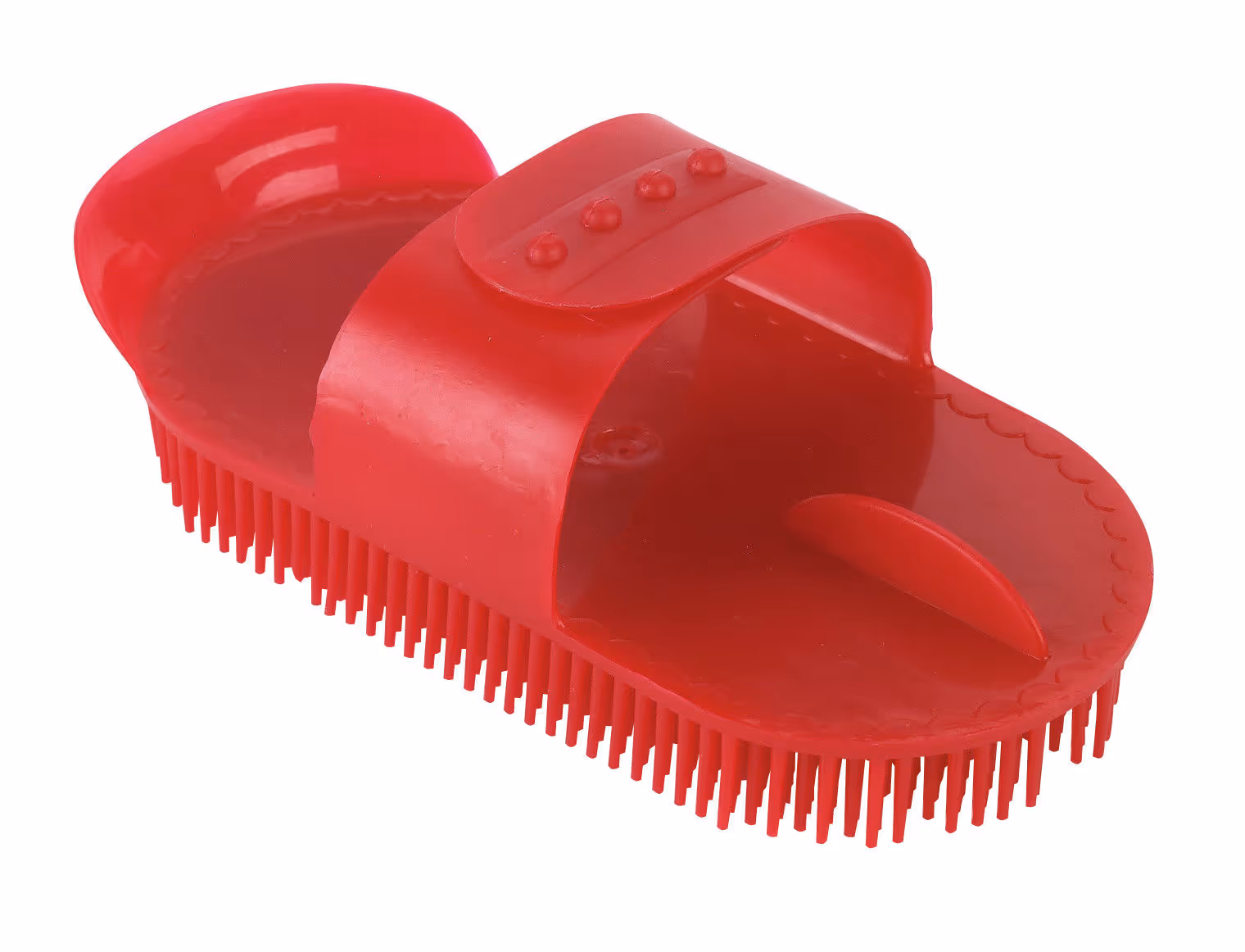 Etrille finlandaise rouge