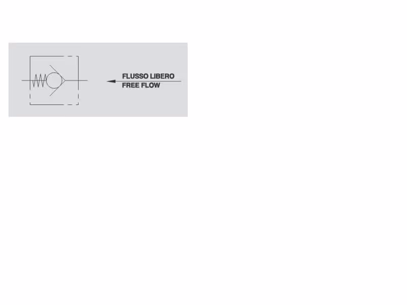 Faster Clapet anti-retour piloté en ligne 1/4'' BSP (17 L/mn Débit)
