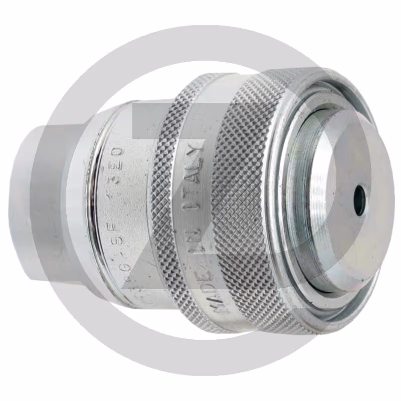 Faster Coupleur femelle 3/8" BSP -S