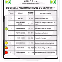 Feuille "tableau de charges ref 55368 adaptable Merlo