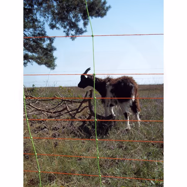 Filet cloture electrique - 50m x 90 cm - Gallagher