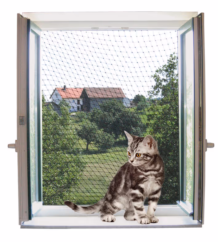 Filet de protection transparent, 6X3m