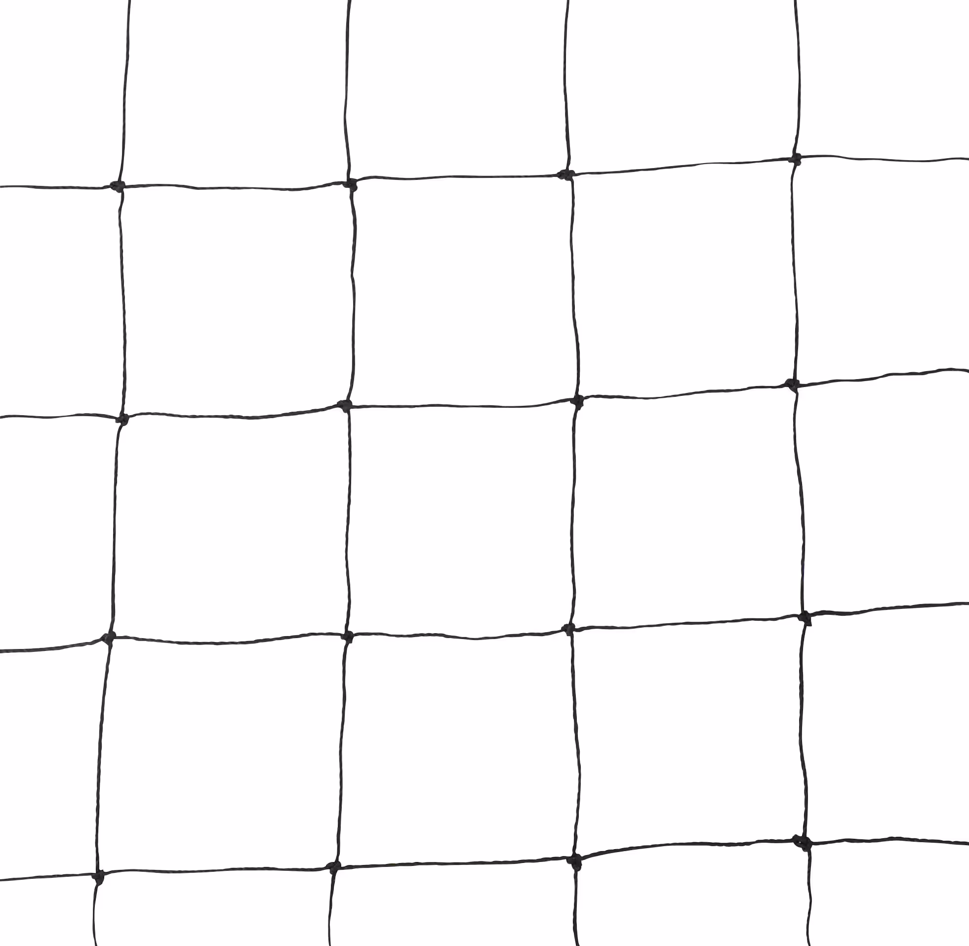 Filet de protection volaille noir, 10x5m, mailles 60mm