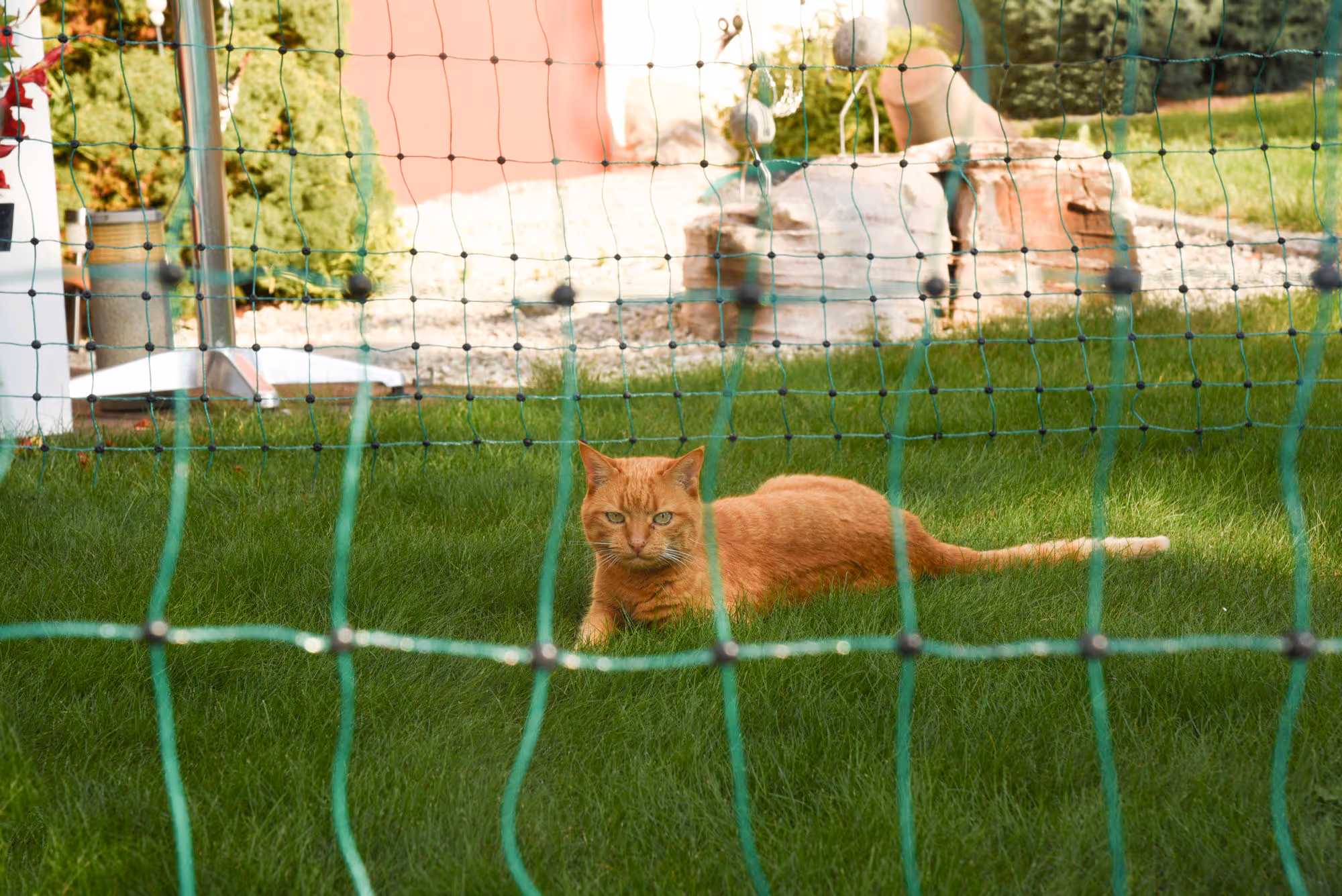 Filet E anti-chats vert, 25m, H.77cm, 9 piquets