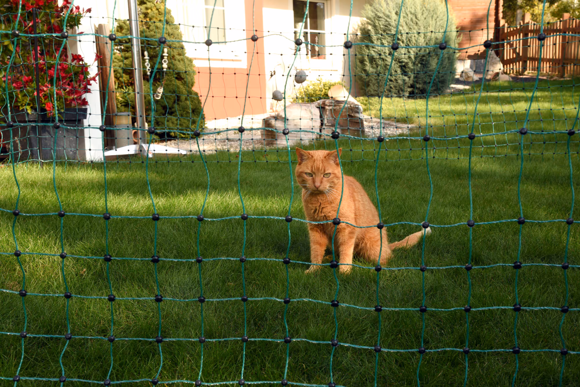 Filet E anti-chats vert, 25m, H.77cm, 9 piquets