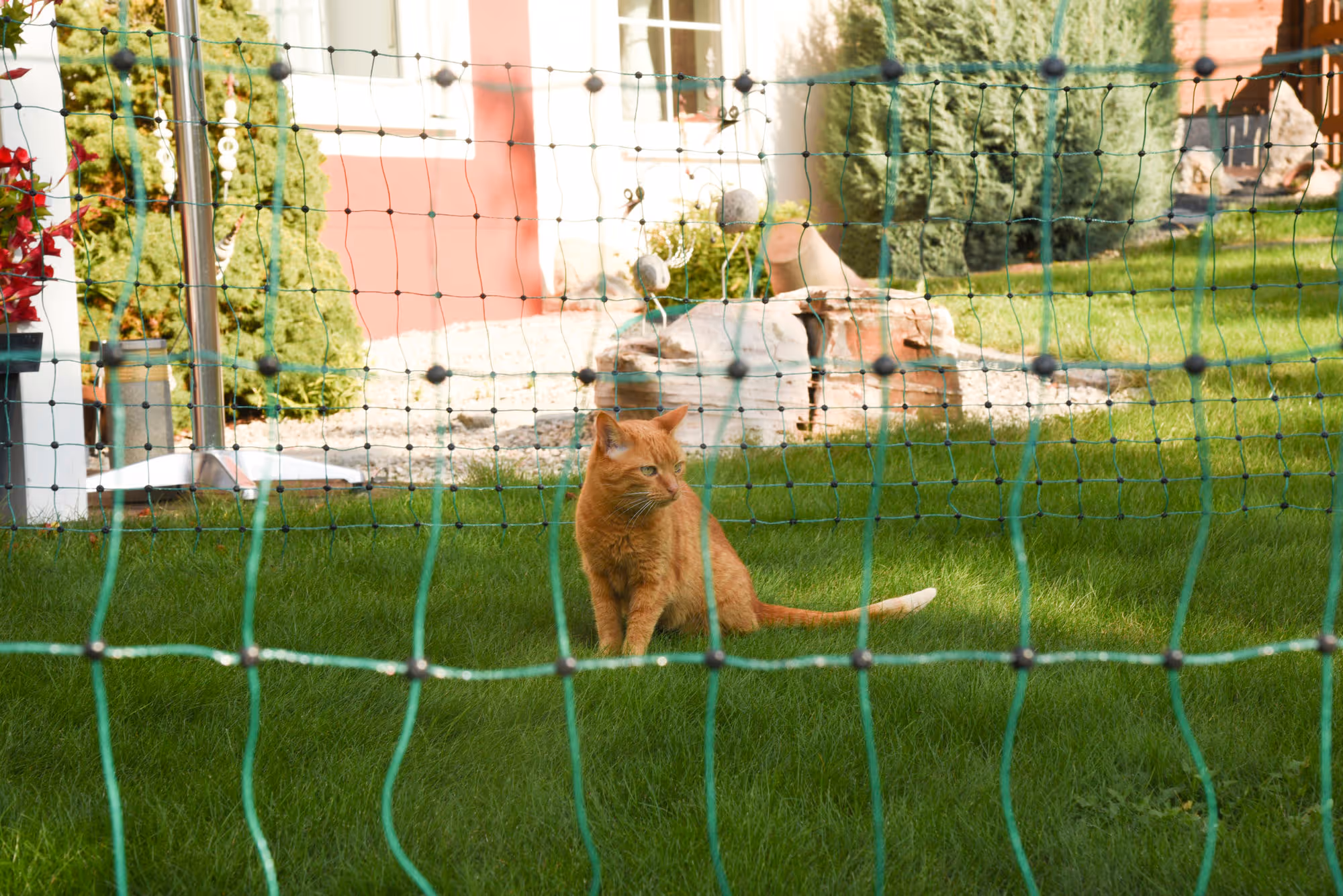 Filet E anti-chats vert, 25m, H.77cm, 9 piquets
