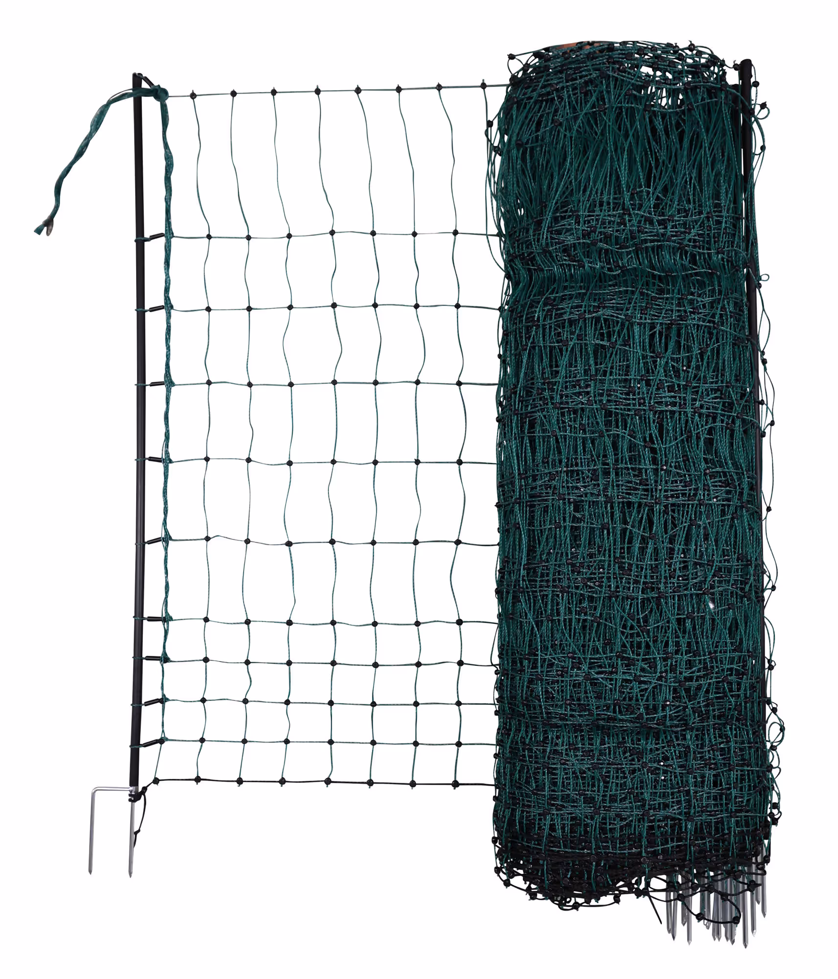 Filet E volaille 50m vert, 106cm, double pointe
